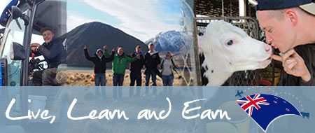 Dairy Farm Training in New Zealand