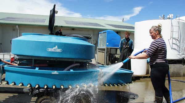 NZ Dairy Careers